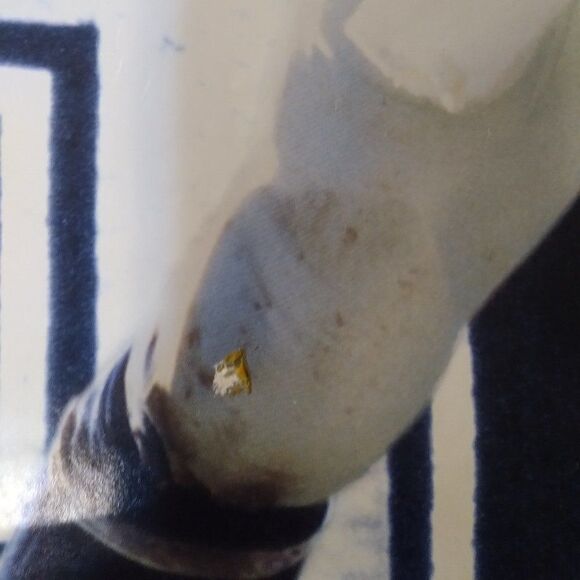 Vintage Troy Aikman Power Portrait Poster - Picture 5 of 8